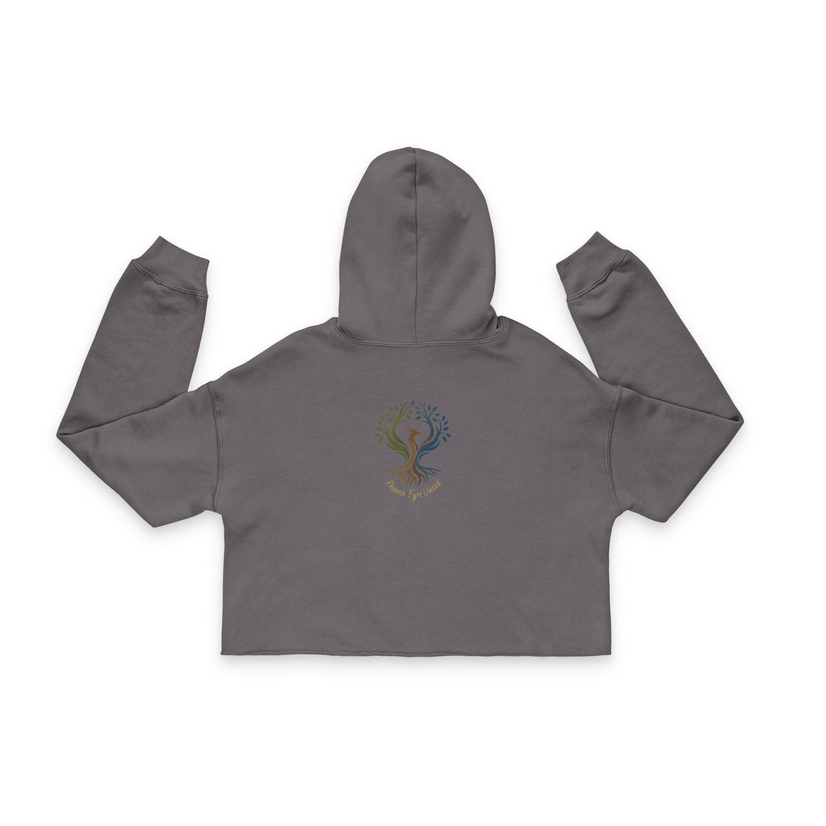 Burnt Orange Phoenix Illustration Cropped Hoodie | Small Back Emblem js
