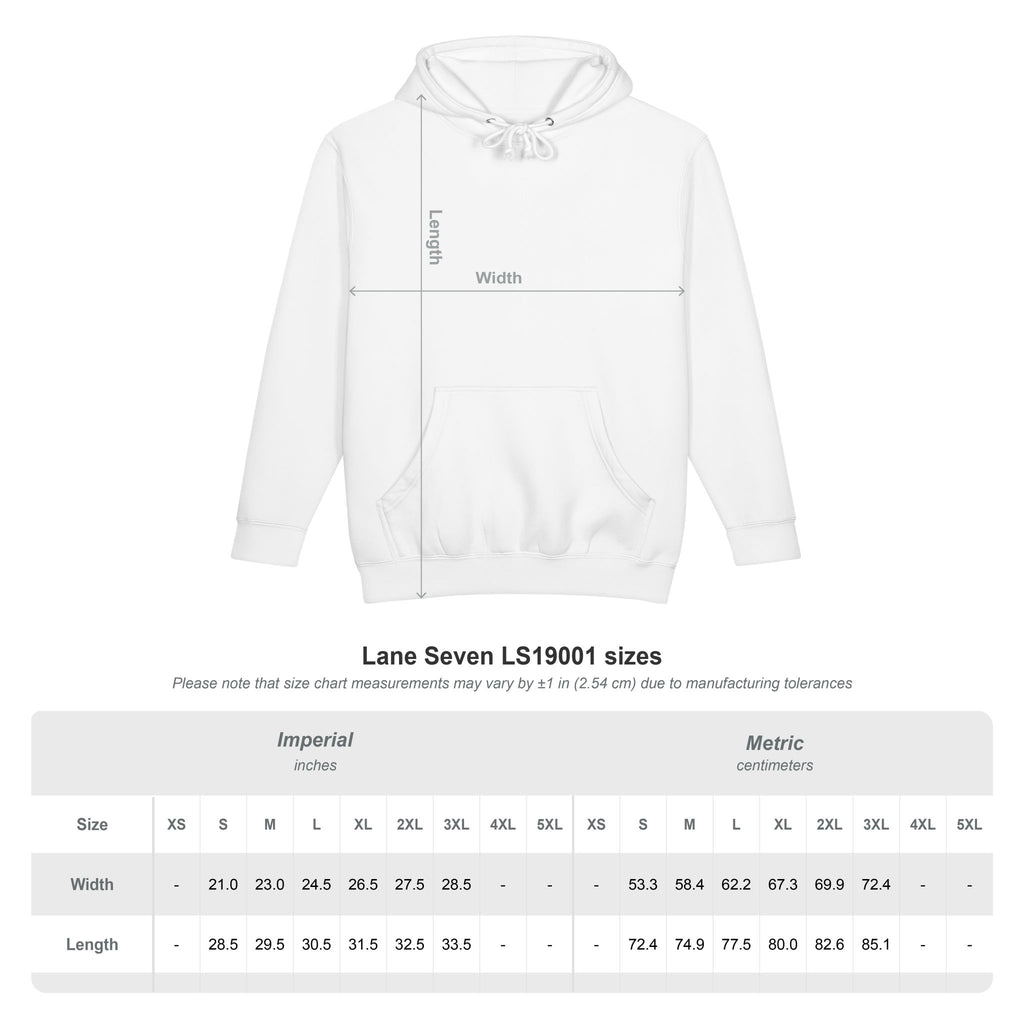 Phoenix Rising hoodie | Phoenix Fyre United pullover